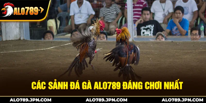 Đá Gà ALO789 – Sân Chơi Đỉnh Cao Cho Những Chiến Kê 1 Các sảnh đá gà Alo789 đáng chơi nhất